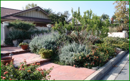 Bob and Sandie Bowen - Grand Prize Winner